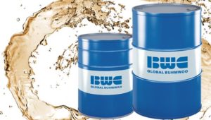 Young Buhmwoo India:The Rising Star